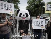 기사이미지