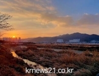 기사이미지