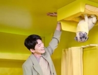 기사이미지